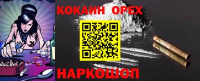 прущие грибы Тулун